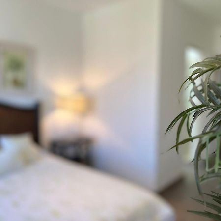 Casas Vacacionales El Deseo By Picsa Administracion Villa San Miguel de Allende Dış mekan fotoğraf